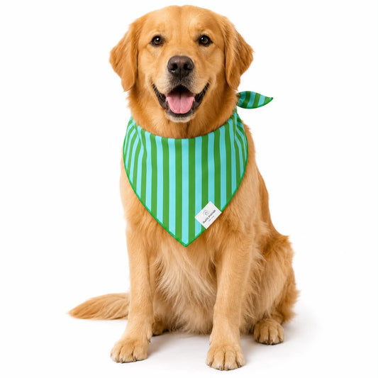 Green & Aqua Stripes Dog Bandana: S/M