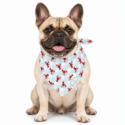 Lobster Dog Bandana: L/XL