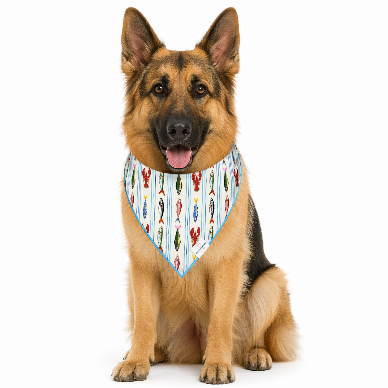 Coastal Fish Striped Dog Bandana: L/XL