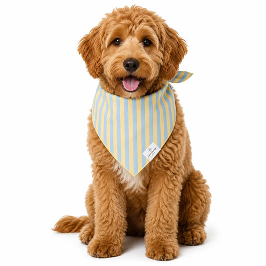 Yellow & Blue Stripes Dog Bandana: L/XL