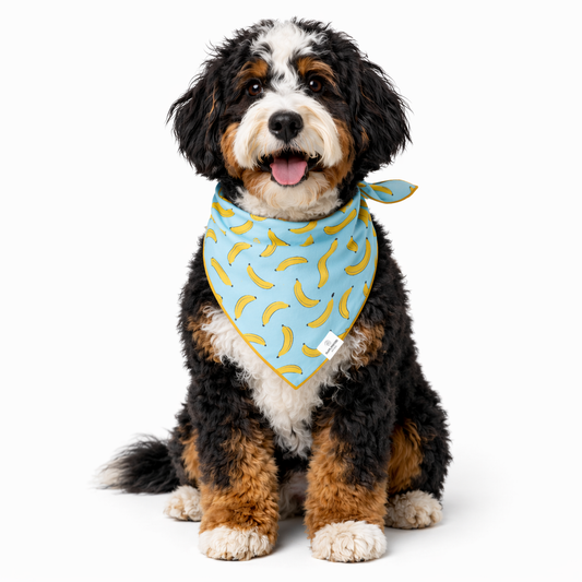 Bananas Dog Bandana: L/XL