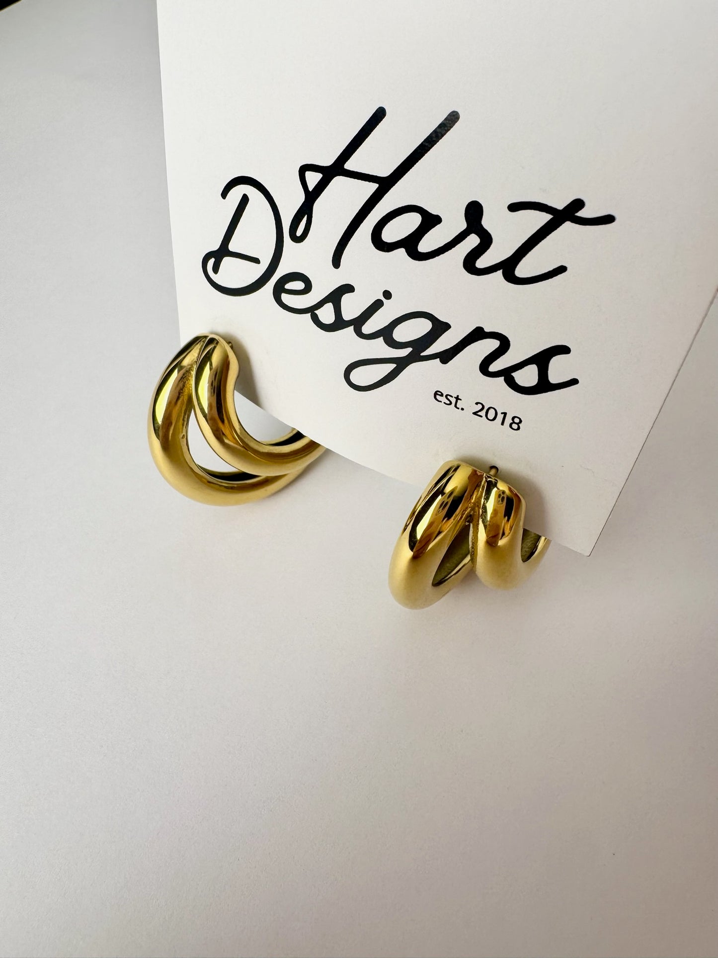 Gold Double Hoop Earrings