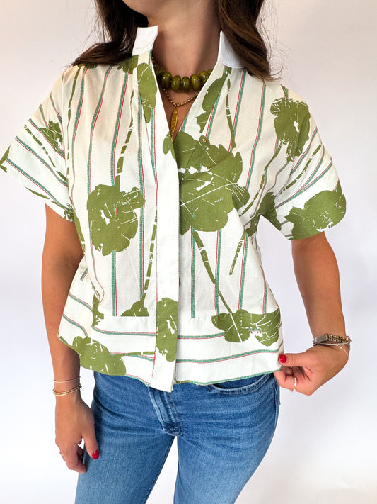 THE OLIVE GROVE TOP