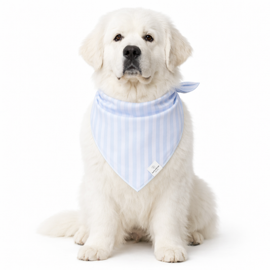 Light Blue Striped Dog Bandana: L/XL