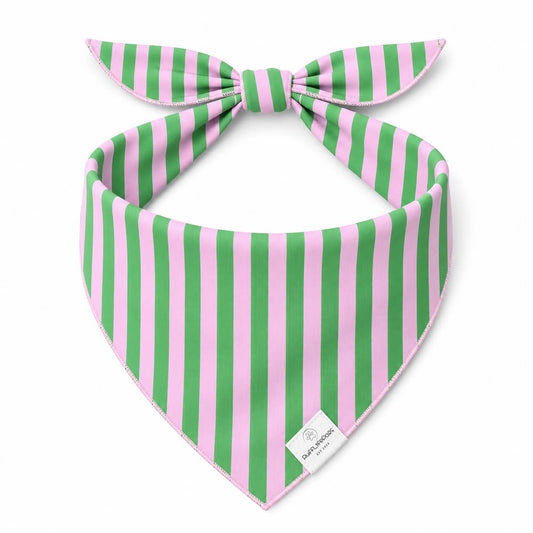 Green & Pink Stripes Dog Bandana: S/M