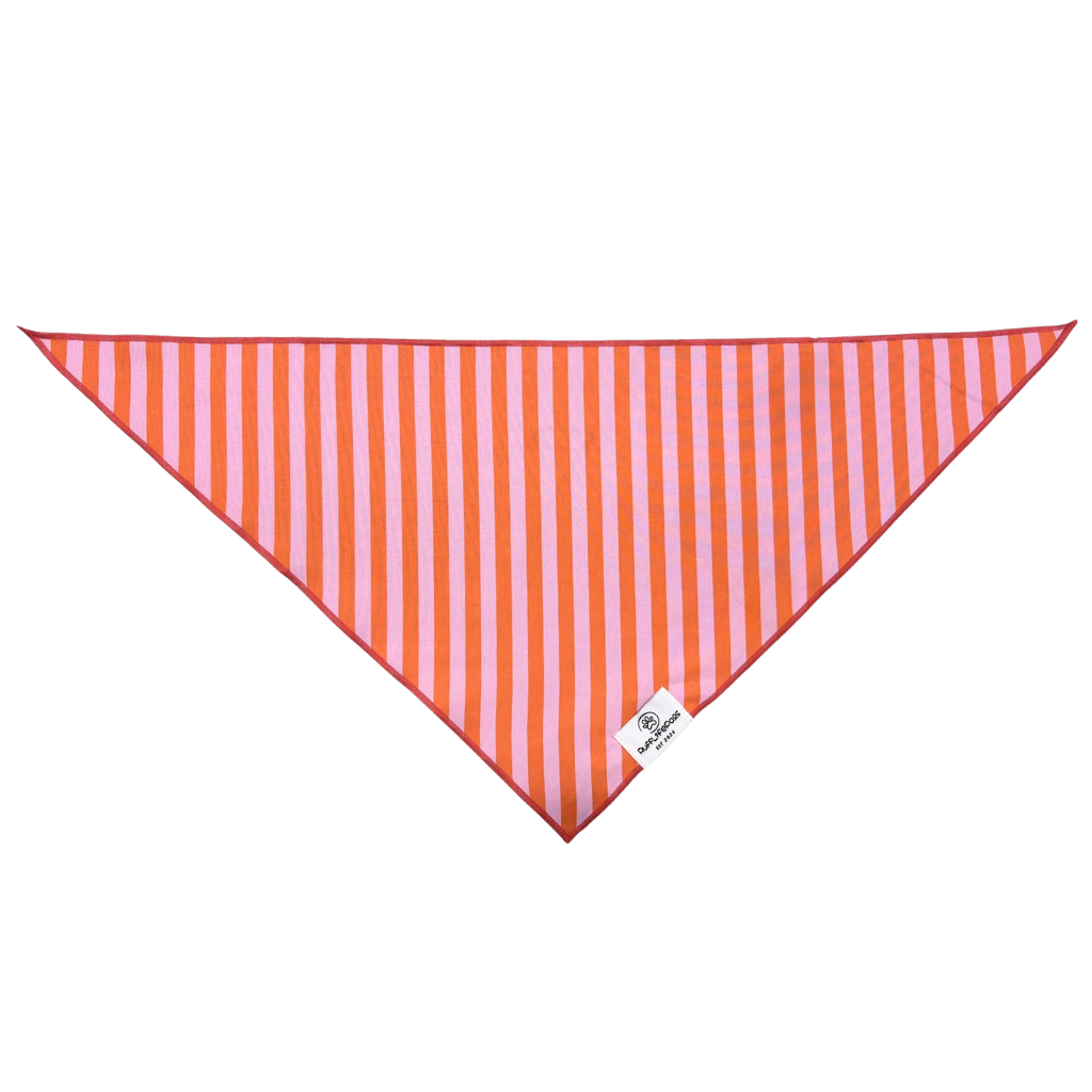 Orange & Pink Stripes Dog Bandana: L/XL