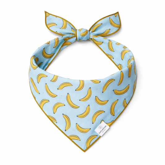 Bananas Dog Bandana: L/XL