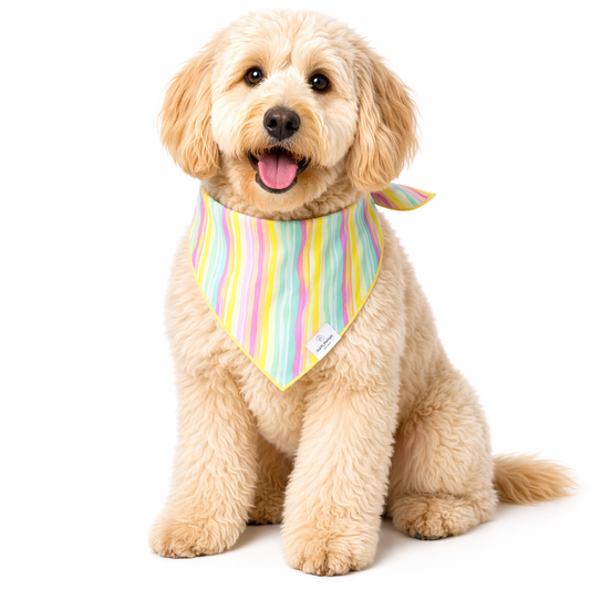 Pastel Wavy Stripes Dog Bandana: L/XL