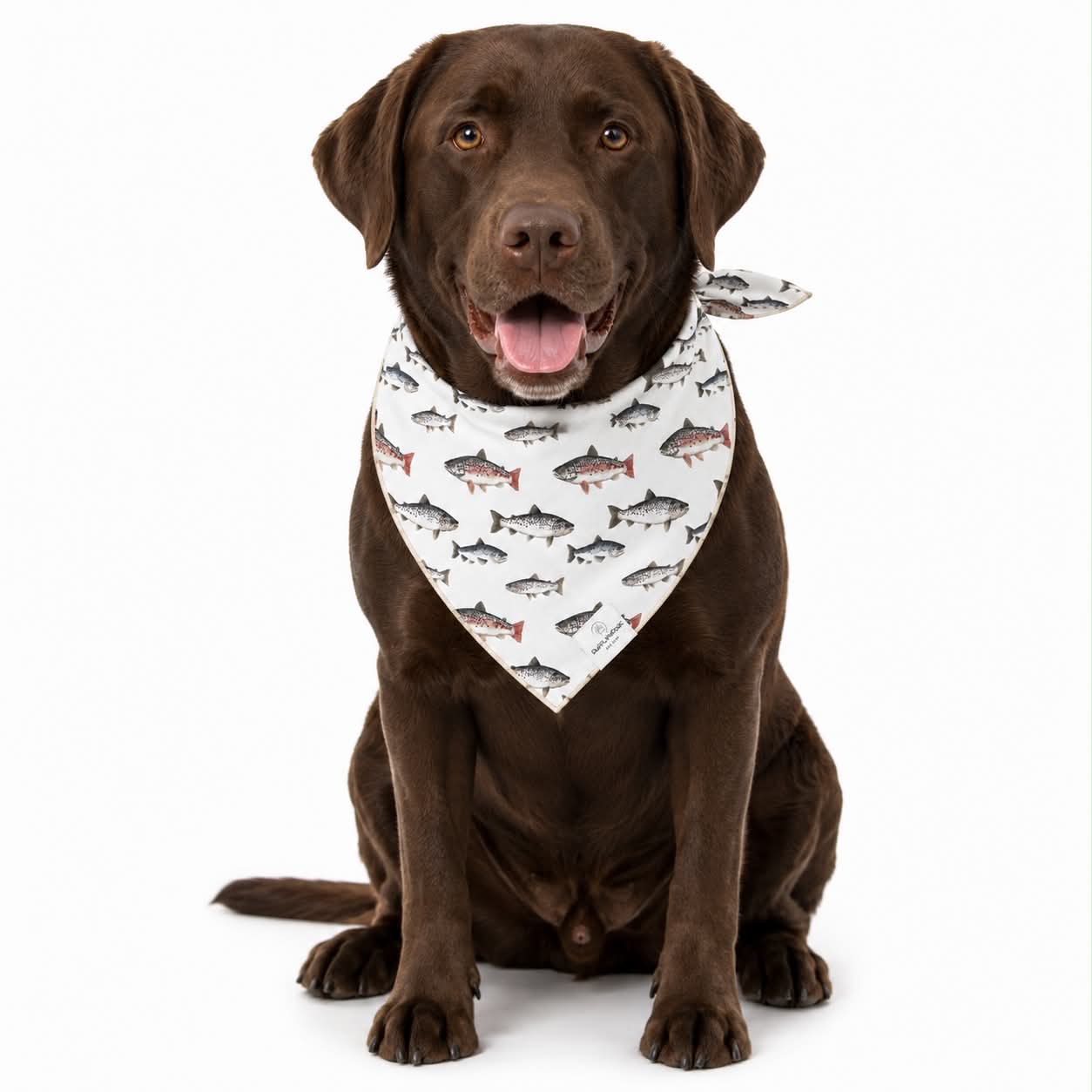 Fish Dog Bandana: L/XL