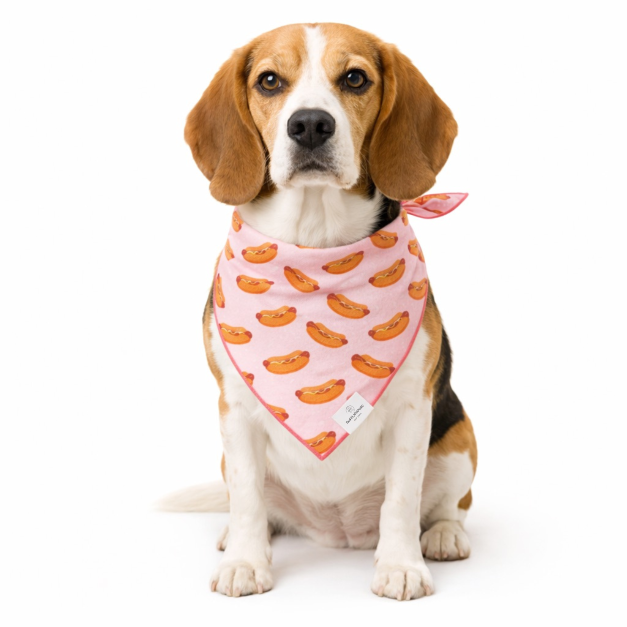 Hot Dog, Dog Bandana: S/M