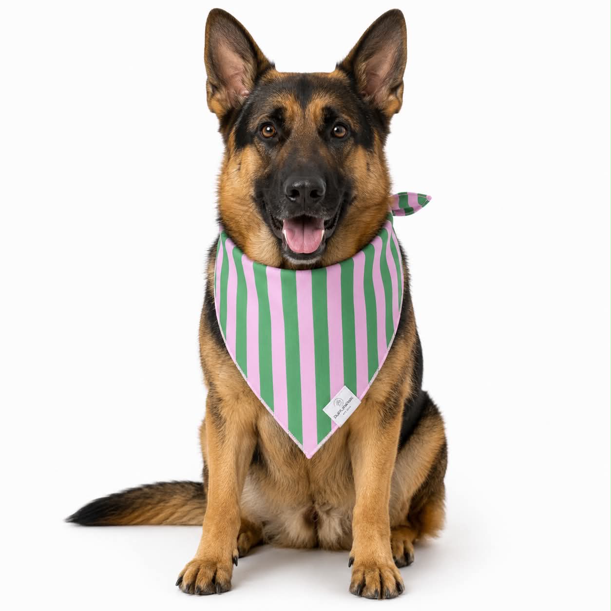 Green & Pink Stripes Dog Bandana: L/XL