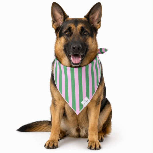 Green & Pink Stripes Dog Bandana: L/XL